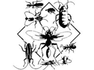 Sticker Custom Preview Image #023947 Animals Insects Insect Collage