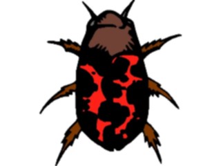 Sticker Custom Preview Image #023953 Animals Insects Ladybug1
