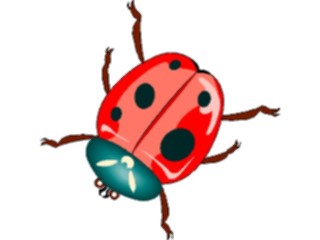 Sticker Custom Preview Image #023954 Animals Insects Ladybug2