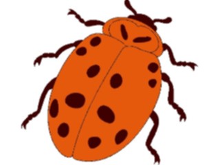Sticker Custom Preview Image #023955 Animals Insects Ladybug3