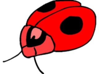 Sticker Custom Preview Image #023956 Animals Insects Ladybug4