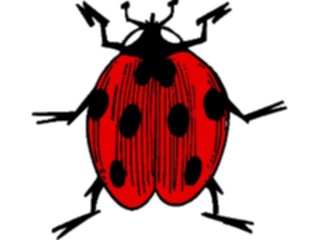 Sticker Custom Preview Image #023959 Animals Insects Ladybug7