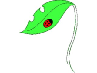 Sticker Custom Preview Image #023963 Animals Insects Ladybugon Leaf