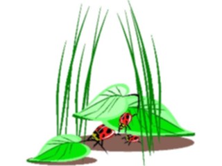Sticker Custom Preview Image #023964 Animals Insects Ladybugs