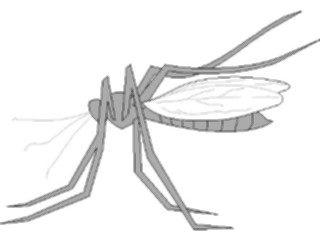 Sticker Custom Preview Image #023969 Animals Insects Mosquito3