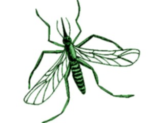 Sticker Custom Preview Image #023973 Animals Insects Mosquito7