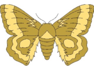 Sticker Custom Preview Image #023976 Animals Insects Moth01