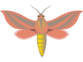Sticker Custom Preview Image #023977 Animals Insects Moth02
