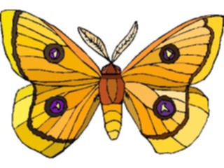 Sticker Custom Preview Image #023980 Animals Insects Moth05