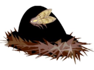 Sticker Custom Preview Image #023981 Animals Insects Moth06