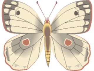 Sticker Custom Preview Image #023985 Animals Insects Moth10
