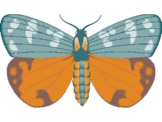 Sticker Custom Preview Image #023986 Animals Insects Moth11