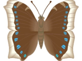 Sticker Custom Preview Image #023991 Animals Insects Moth16