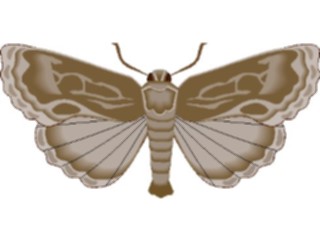Sticker Custom Preview Image #023996 Animals Insects Moth21