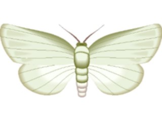 Sticker Custom Preview Image #023997 Animals Insects Moth22
