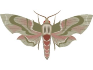 Sticker Custom Preview Image #023998 Animals Insects Moth23