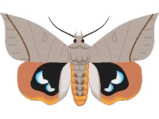 Sticker Custom Preview Image #023999 Animals Insects Moth24