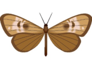 Sticker Custom Preview Image #024000 Animals Insects Moth25