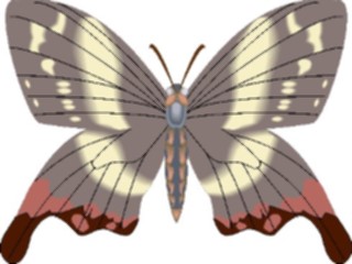 Sticker Custom Preview Image #024001 Animals Insects Moth26