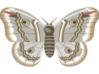 Sticker Custom Preview Image #024005 Animals Insects Moth30