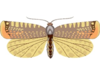 Sticker Custom Preview Image #024006 Animals Insects Moth31