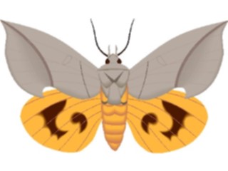 Sticker Custom Preview Image #024015 Animals Insects Moth40