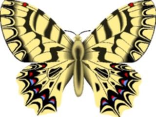 Sticker Custom Preview Image #024019 Animals Insects Moth44