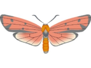 Sticker Custom Preview Image #024020 Animals Insects Moth45