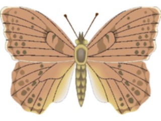 Sticker Custom Preview Image #024022 Animals Insects Moth47