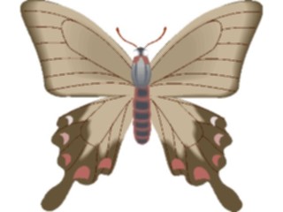 Sticker Custom Preview Image #024024 Animals Insects Moth49