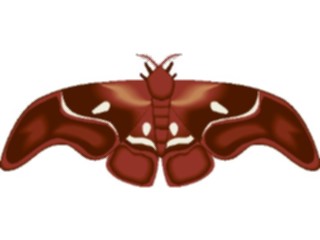 Sticker Custom Preview Image #024025 Animals Insects Moth50