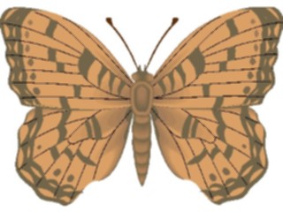 Sticker Custom Preview Image #024027 Animals Insects Moth52