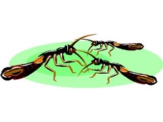 Sticker Custom Preview Image #024030 Animals Insects Pincher Bugs