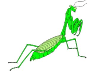 Sticker Custom Preview Image #024031 Animals Insects Praying Mantis1