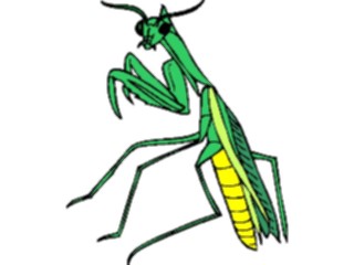 Sticker Custom Preview Image #024033 Animals Insects Praying Mantis3