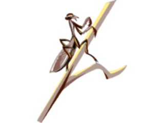 Sticker Custom Preview Image #024034 Animals Insects Praying Mantis4