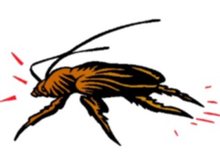 Sticker Custom Preview Image #024035 Animals Insects Roach1