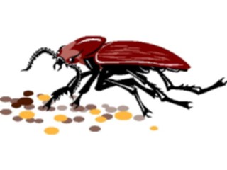 Sticker Custom Preview Image #024036 Animals Insects Roach2