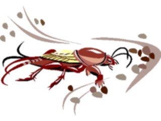 Sticker Custom Preview Image #024037 Animals Insects Roach3