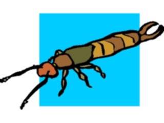 Sticker Custom Preview Image #024039 Animals Insects Scorpion1