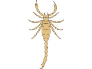 Sticker Custom Preview Image #024041 Animals Insects Scorpion3