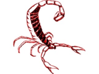 Sticker Custom Preview Image #024042 Animals Insects Scorpion4