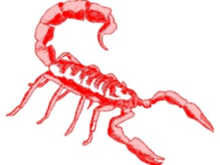 Sticker Custom Preview Image #024043 Animals Insects Scorpion5