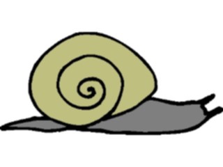 Sticker Custom Preview Image #024050 Animals Insects Snail07