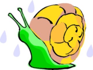 Sticker Custom Preview Image #024053 Animals Insects Snail10