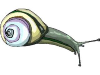 Sticker Custom Preview Image #024054 Animals Insects Snail11