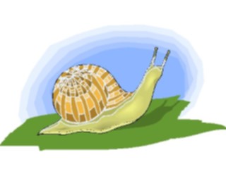 Sticker Custom Preview Image #024055 Animals Insects Snail12