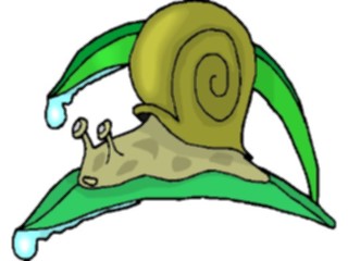 Sticker Custom Preview Image #024056 Animals Insects Snail13