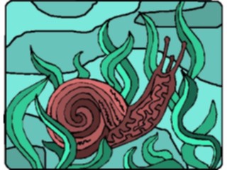 Sticker Custom Preview Image #024057 Animals Insects Snail14