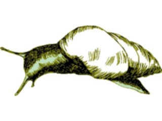 Sticker Custom Preview Image #024059 Animals Insects Snail16